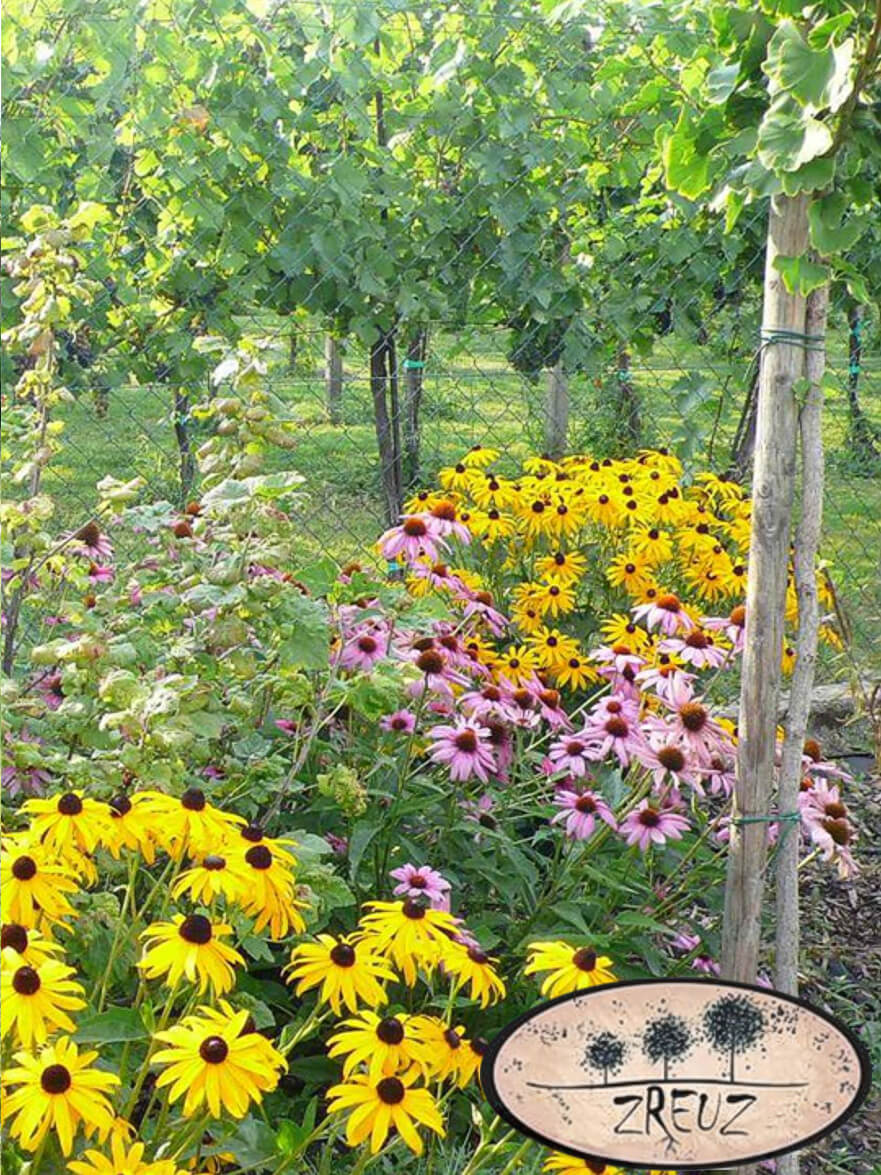 Ovocno-okrasná záhrada Šenkvice